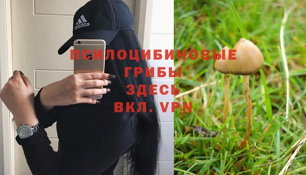 альфа пвп Новокубанск