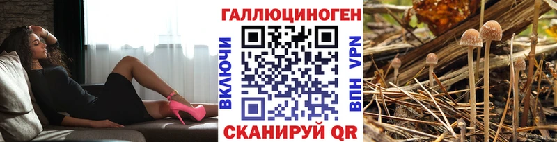 hydra зеркало  Михайловск  Галлюциногенные грибы Magic Shrooms  цена наркотик 