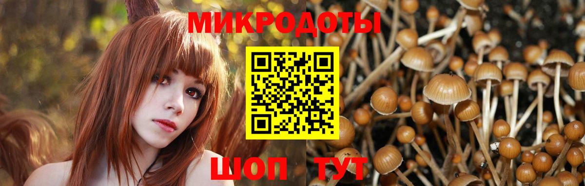Псилоцибиновые грибы MAGIC MUSHROOMS  Вход с VPN  Михайловск 