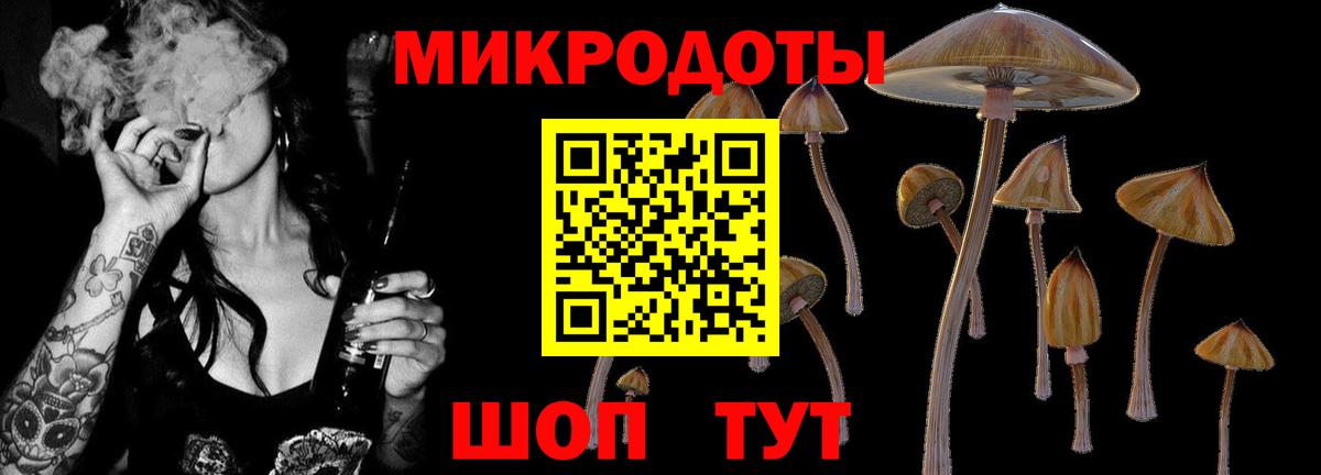 Галлюциногенные грибы MAGIC MUSHROOMS Михайловск